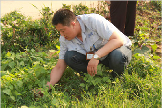 thumb_320_214_20180126024422518